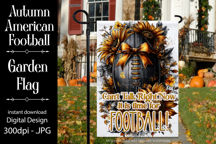 Flag Football Clipart Image 23