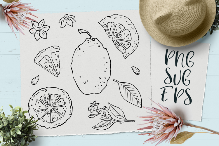 Lemon hand-drawn vector graphics SVG, EPS Png