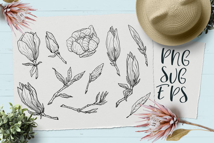 Magnolia Vector Image 2