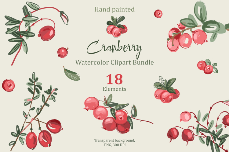 Cranberry Clipart