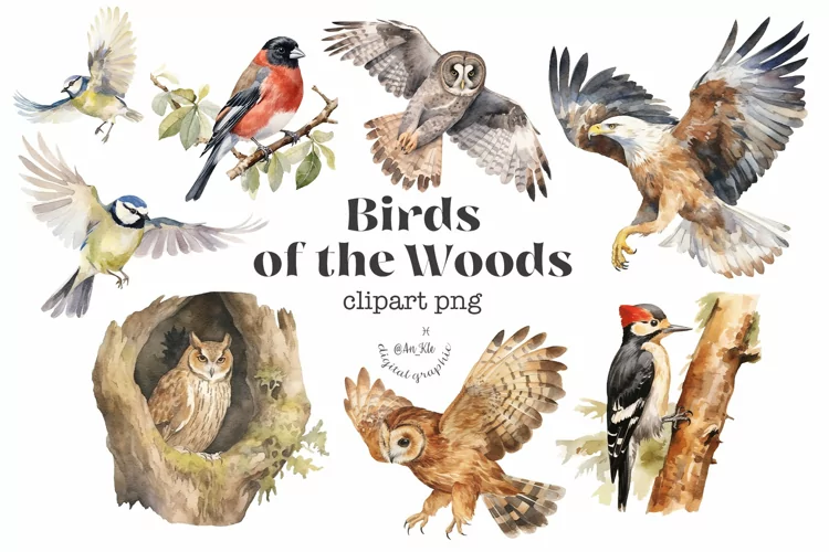 Birds of the Woods