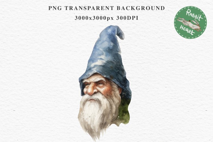 Forest Illustration Image 15