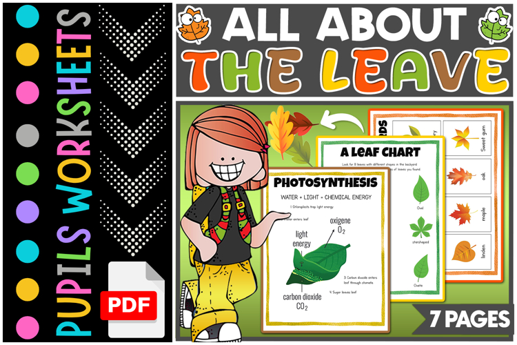 All About Leaf Activities | Plant Science Unit