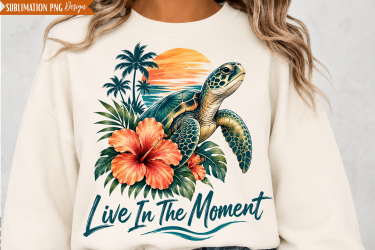 Sea Turtle Moment PNG Design, sea turtle png, live in the