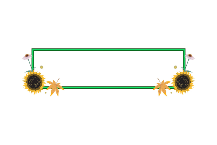 Floral Background Image 22