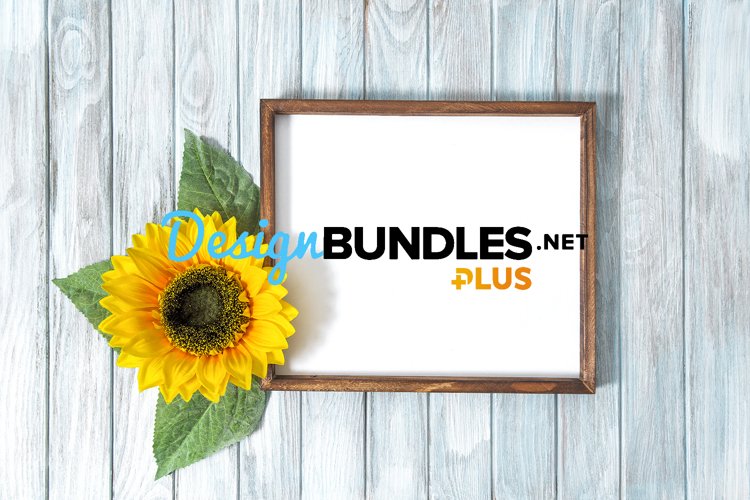 Sunflower Background Image 23