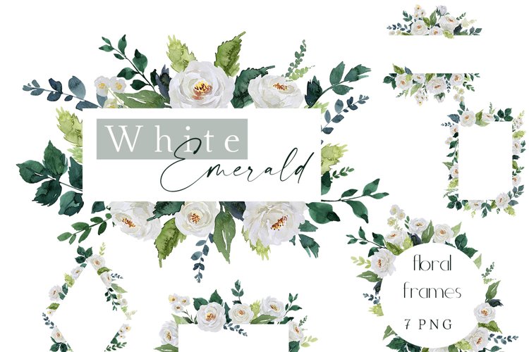 White Roses Png Image 18