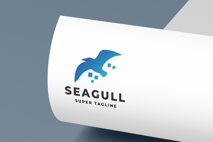  Seagull Clipart
