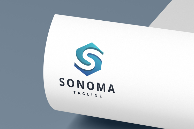 Hexagonal S Letter Logo