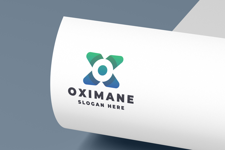 Abstract Letter X Logo
