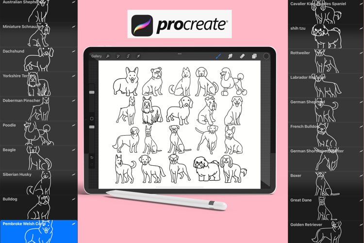 Line Art Illustration Image 8