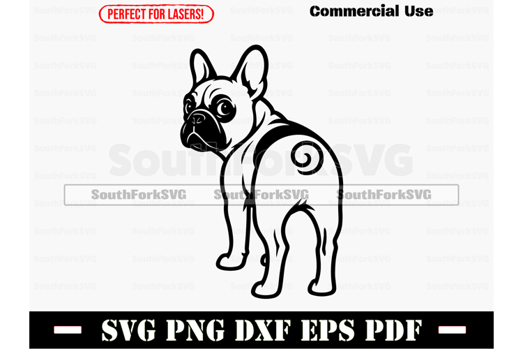 French Bulldog Png Image 19