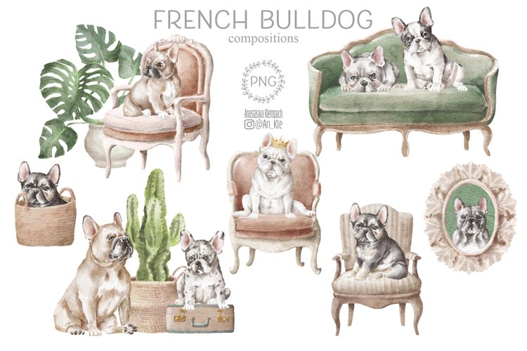 French Bulldog Png Image 17