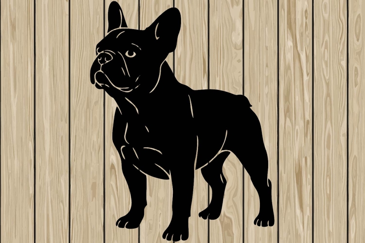 French Bulldog Svg Image 21