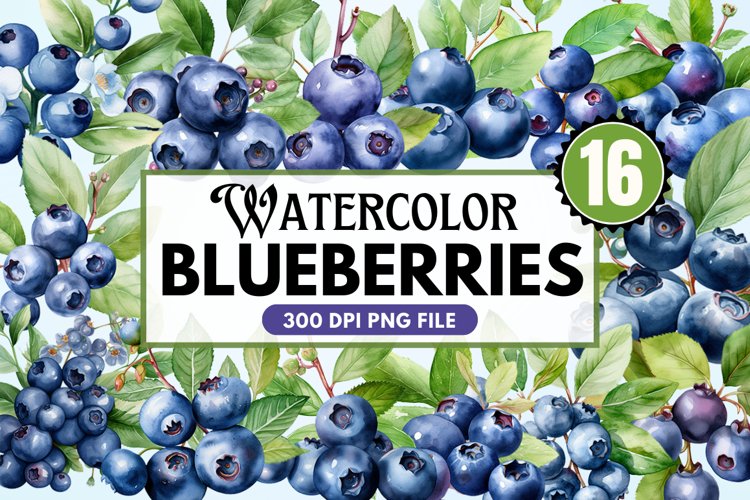 Blueberries Clipart Image 7