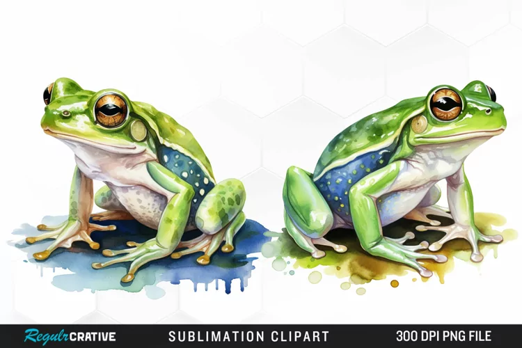 Watercolor Frogs Illustration PNG Clipart