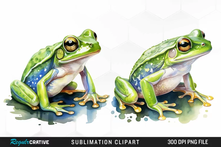 Watercolor Frogs Illustration PNG Clipart