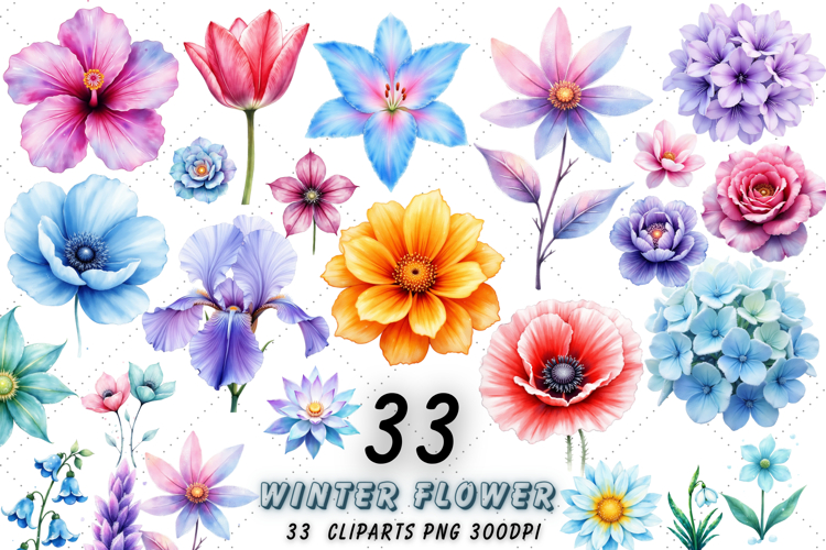 Winter Flower Watercolor Clipart Bundle | Frosted Floral PNG