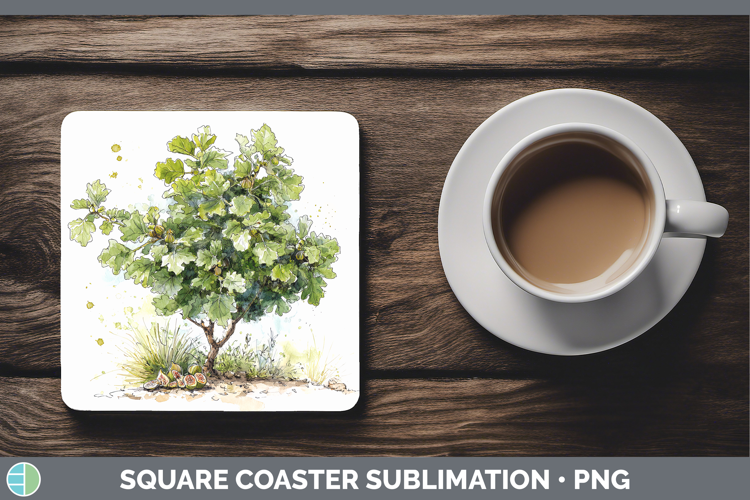 Fig Fruit Sketch Square Coaster Sublimation Design