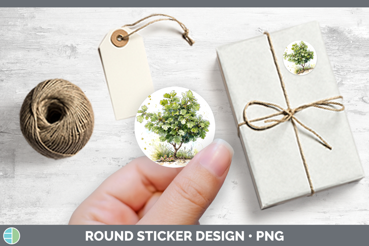 Fig Fruit Sketch Stickers Design