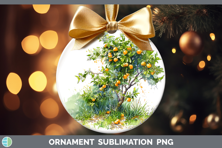 Orange Fruit Sketch Ornament Sublimation Design