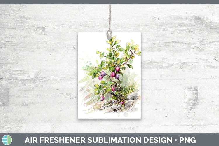 Plum Fruit Sketch Air Freshener Sublimation Design