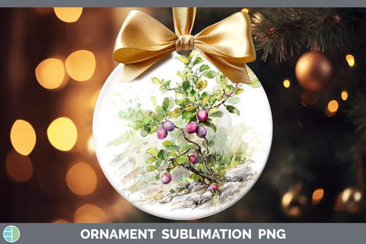 Plum Fruit Sketch Ornament Sublimation Design