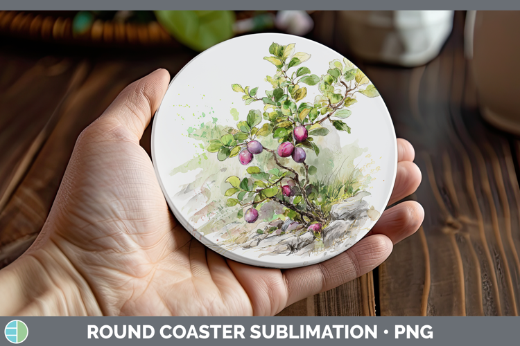 Plum Fruit Sketch Round Coaster Sublimation Design