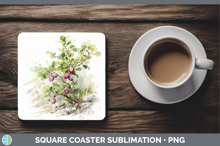 Plum Fruit Sketch Square Coaster Sublimation Design