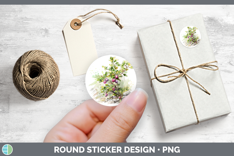 Plum Fruit Sketch Stickers Design