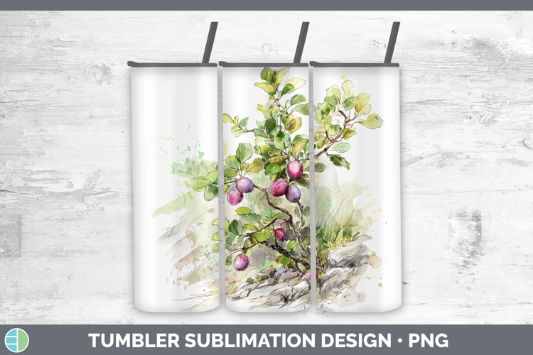Plum Fruit Sketch Tumbler Sublimation Design