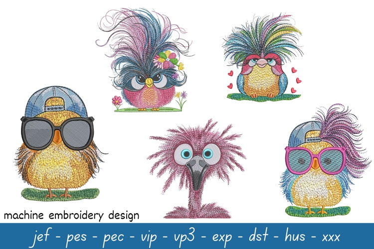 Funny Birds Embroidery Design - Machine Embroidery Patterns
