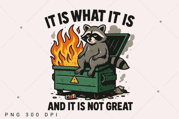 Funny Dumpster Racoon PNG, It is not great PNG, Funny Racoon