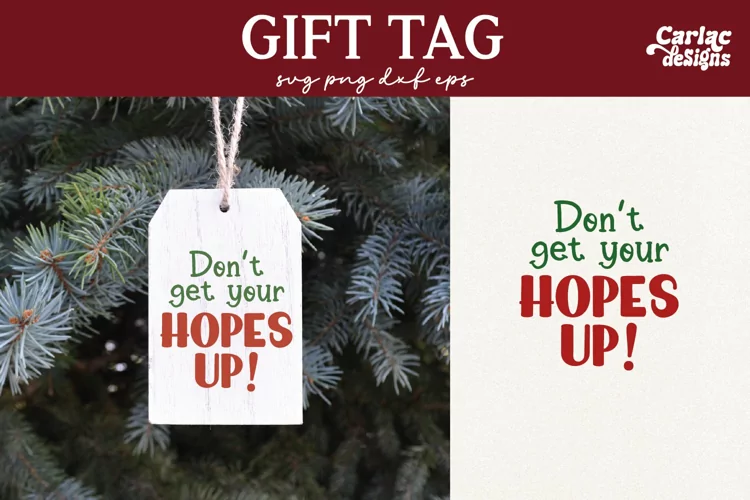 Funny Gift Tag SVG, Funny Gift Bag SVG
