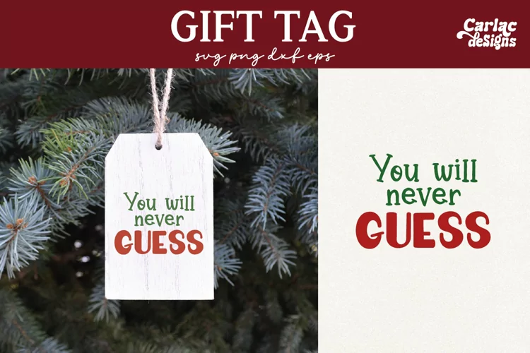 Funny Gift Tag SVG, Funny Gift Bag SVG