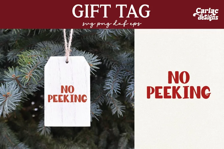 Funny Gift Tag SVG, Funny Gift Bag SVG