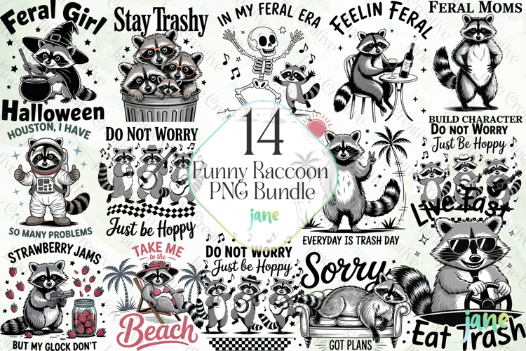 Raccoon Clipart Image 14