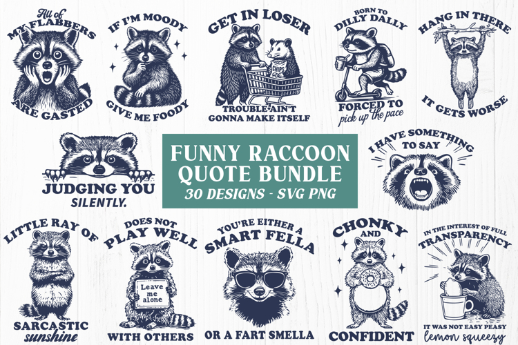 Raccoon Png Image 17