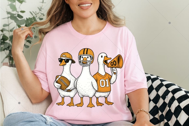 Ducks Png Image 19
