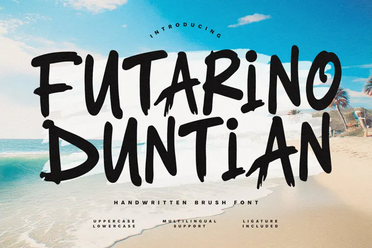 Futarino Duntian Handwritten Brush Font Summer Designs