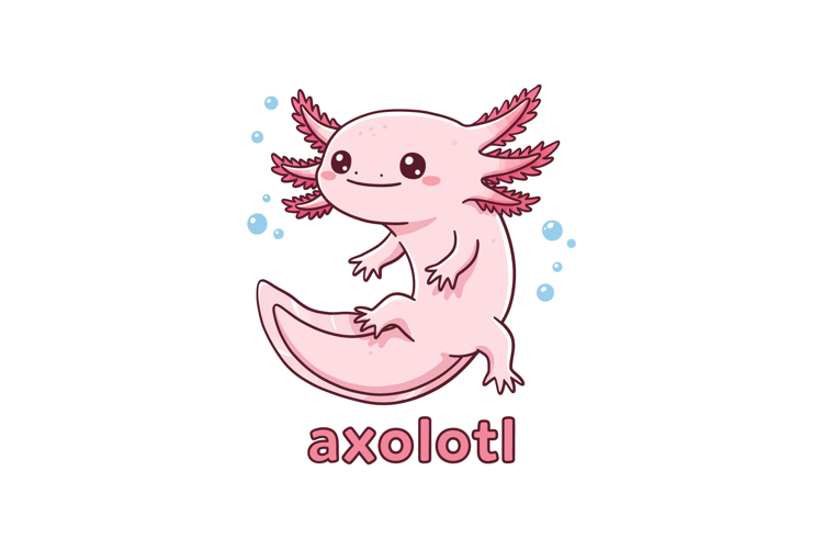 Cute Axolotl Clipart Image 3