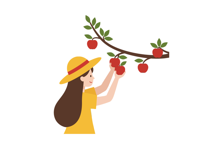 Apple Picking Clipart Image 18