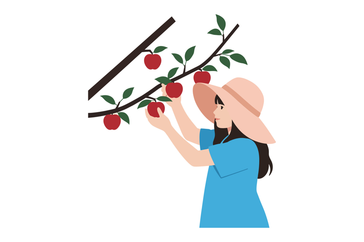 Tree Clipart Image 6