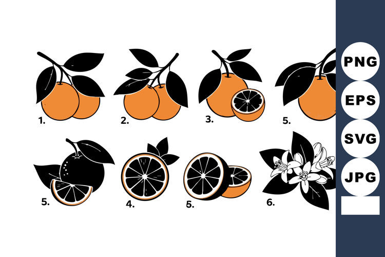 Fruit Vector Image 10