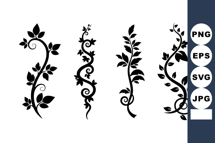 Vine Clipart
