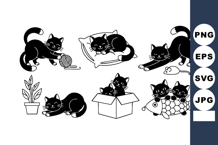 Black cats playing resting and sleeping in various poses wit