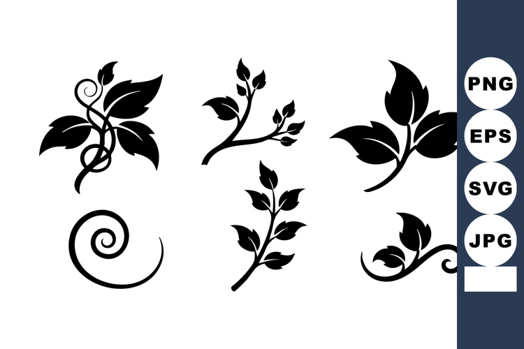 Vine Clipart Image 3