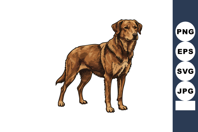 Alert Clipart Image 8
