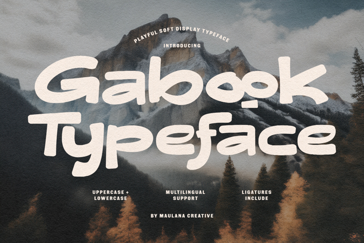 Gabook Playful Soft Display Typeface