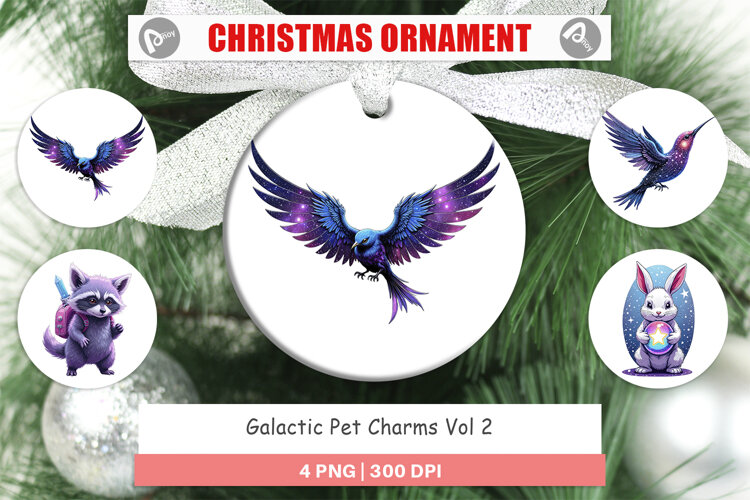 Ornament Galactic Pet Charms example image 1